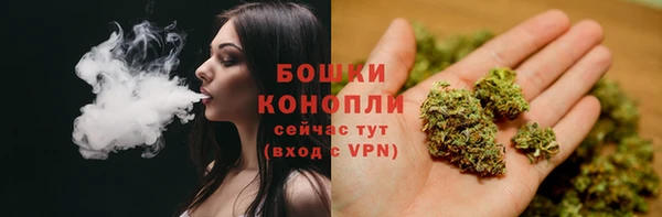 индика Рославль