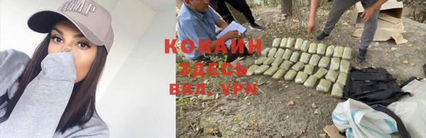 хмурый Балабаново