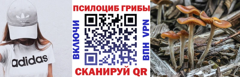 Псилоцибиновые грибы GOLDEN TEACHER  Козьмодемьянск 